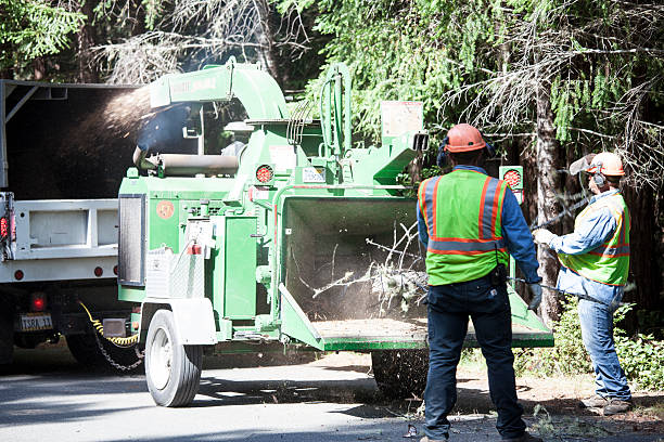 Best Firewood Processing and Delivery  in Winchester, TN